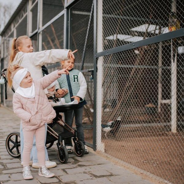 mini zoo, atrakcje dla dzieci, hotel przyjazny dzieciom, hotel pod dzieci, zwierzęta, hotel dla rodzin, hotel wielkopolska 13