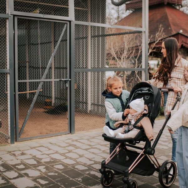 mini zoo, atrakcje dla dzieci, hotel przyjazny dzieciom, hotel pod dzieci, zwierzęta, hotel dla rodzin, hotel wielkopolska 2