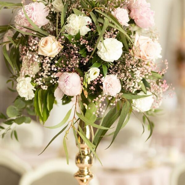 IMG_5420